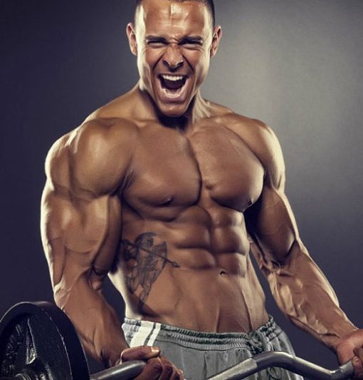 Extreme Bulking Stack - 12 Week Cycle and 4 weeks PCT
