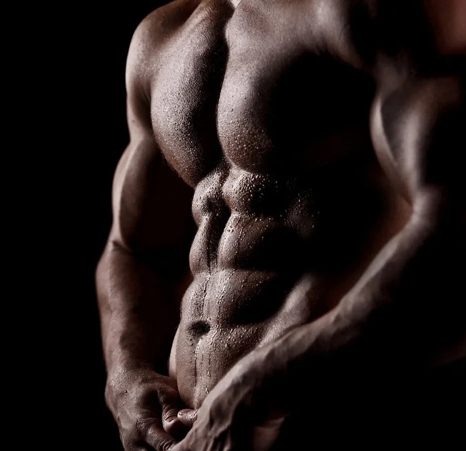 Fat Burning Supplements USA feature-image