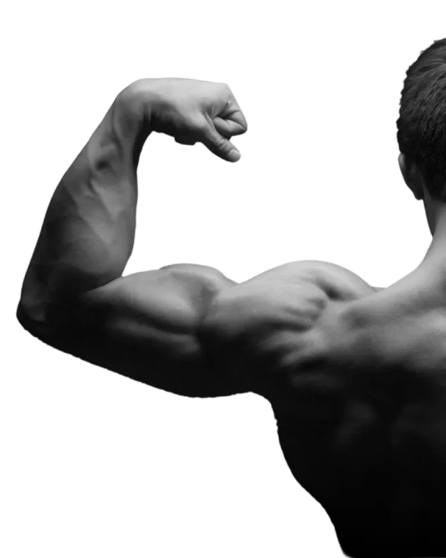 SARMs For Bodybuilding feature-image