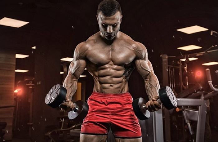 Fat Burning Supplements