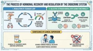 Nolvadex PCT Recovery Drops 1